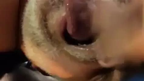 Grandpa Gums Dick With Toothless Mouth American Gay Porn XHamster