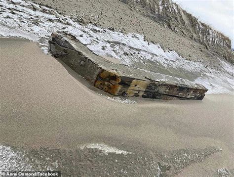 Mysterious shipwreck washes up on Canadian coast: Bird hunter spotted ghostly 80ft vessel off ...