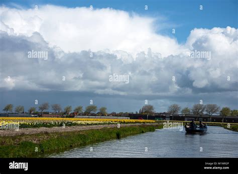 Keukenhof Board Hi Res Stock Photography And Images Alamy