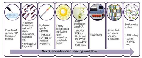 Next Generation Sequencing Process