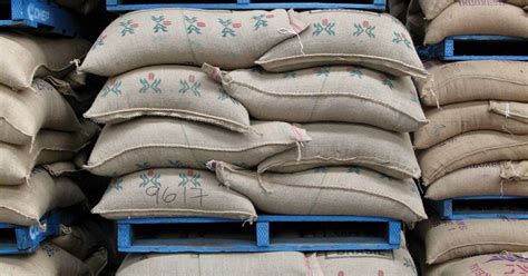 cofi coms global network beanscene