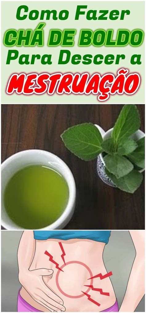 Chas Que Fazem A Menstruação Descer - Chá Caseiro Para Fazer a Menstruação Descer na Hora! | Fruit, Cantaloupe