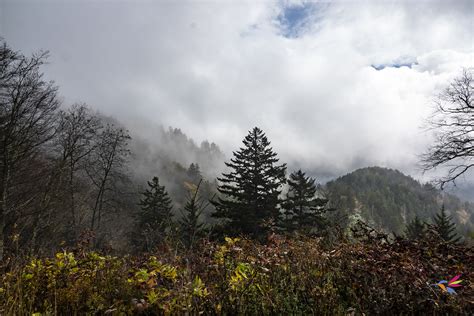 discovering  beautiful smoky mountains victoria restrepo