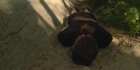 Miss Nude North America Scene Tnaflix