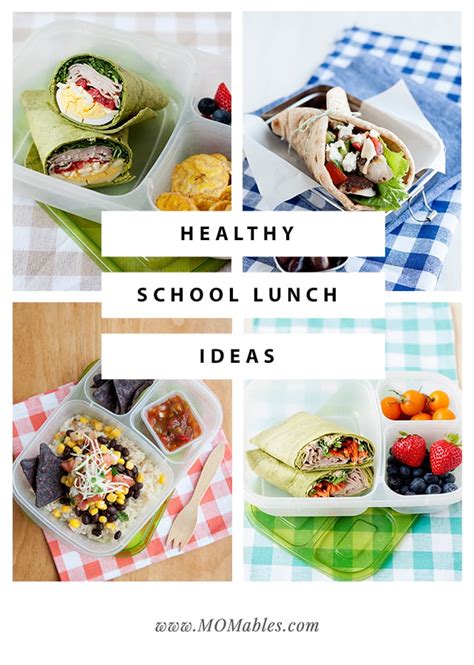 Healthy School Lunch Ideas for Teens- MOMables