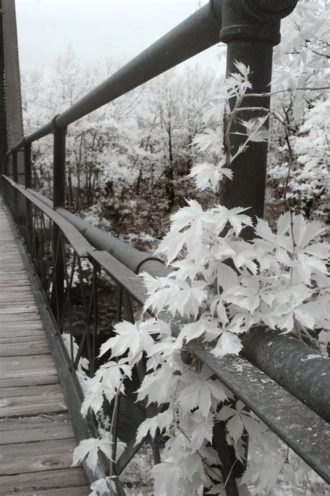 16 Remarkable Infrared Photos Light Stalking