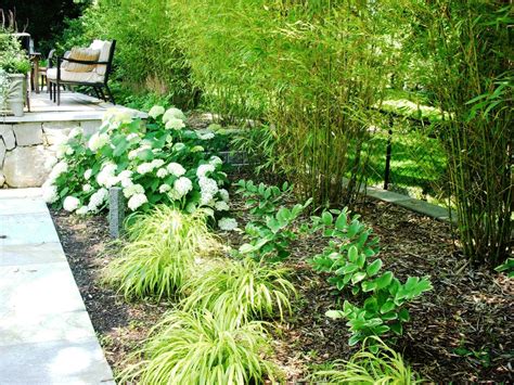 Varios Plantings Classique Jardin New York Par Landscape Design