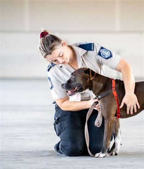 Enforcing the law | RSPCA Australia