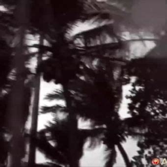 Asiansexdiary Nude Leaks Onlyfans Photo Leaked Models My Xxx Hot Girl