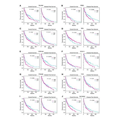 Survival Analysis Of Candidate Genes Correlation Between The Download Scientific Diagram