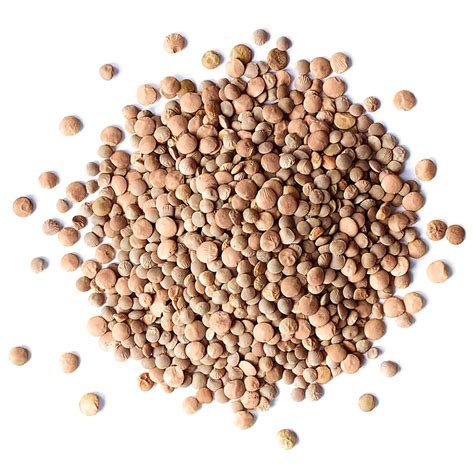 Red Lentils Whole Bulk The Grain Grocer