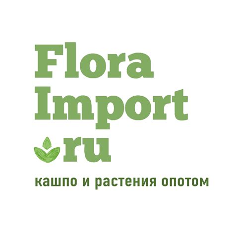 FloraImport.ru/Оптовый магазин кашпо и декора