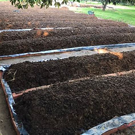 Organic Vermicompost Application Agriculture At Best Price In Jaipur