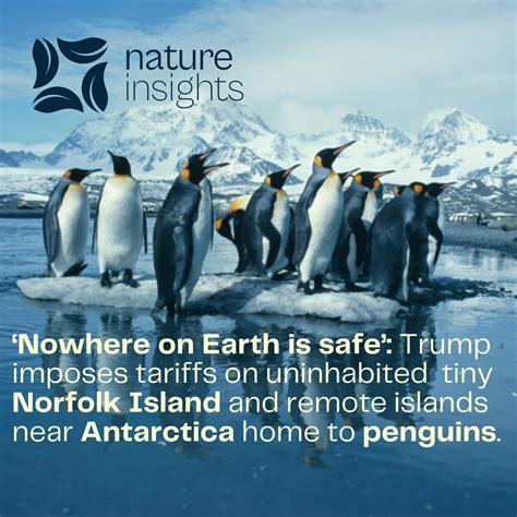 Nature Insights - Critics suspect Trump’s weird tariff math came from