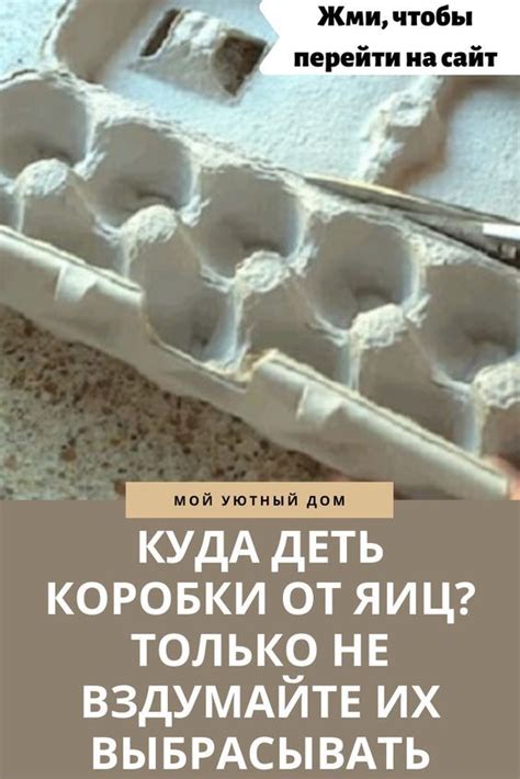 Куда деть коробки от яиц? Только не вздумайте их выбрасывать | Коробка ...