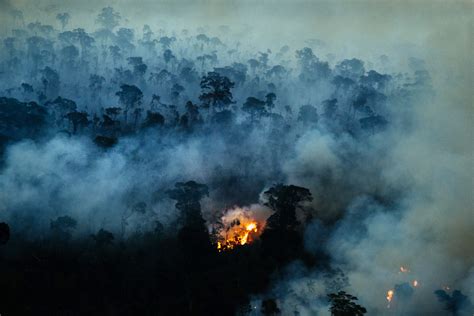 Amazon Deforestation In Brazil Booms In August