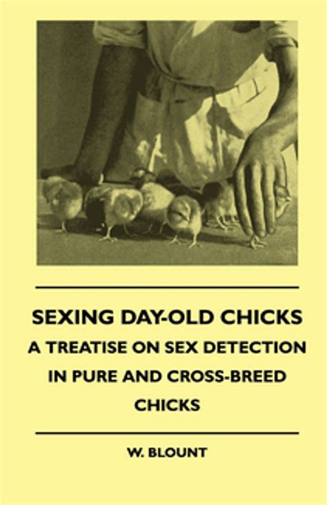 Sexing Day Old Chicks A Treatise On Sex Detection In Pure And Cross Breed Chicks EBook By W