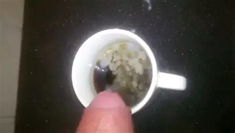 Free Cum In Coffee Gay Porn Videos Xhamster