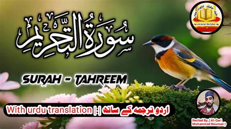 066surah At Tahreem Full With Urdu Translation Surah Tehreem