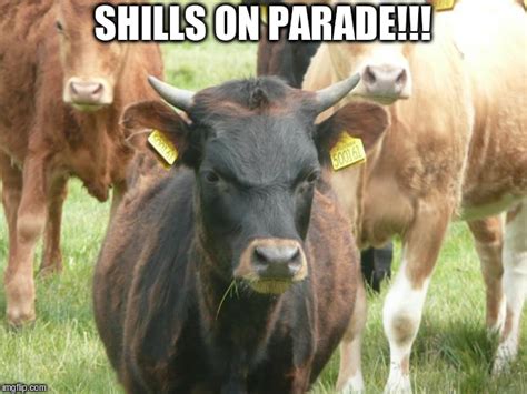 Image Tagged In Passive Aggressive Bull Imgflip