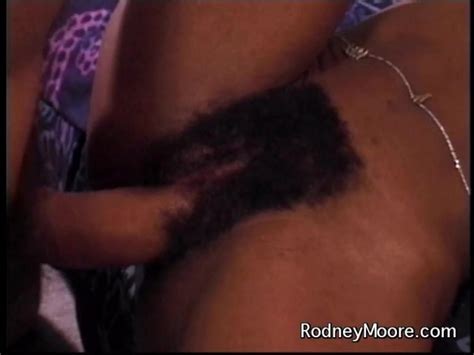 Busty Black Babe Fucks Director Rodney Moore From Devine By Rodney Moore Clips HotMovies