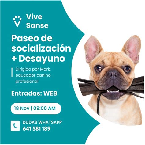 Paseos SocializaciÓn Sanse 18 Nov Vive Pet Resort