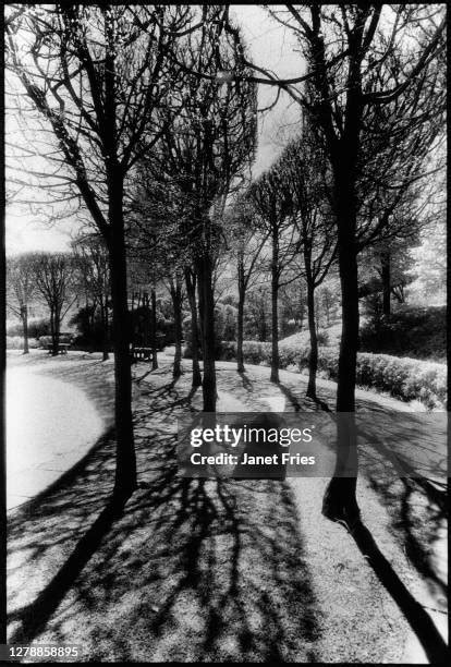 Dumbarton Oaks Park Photos And Premium High Res Pictures Getty Images