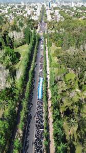 Marcha universitaria en Mendoza: por qué calles de la Ciudad no se