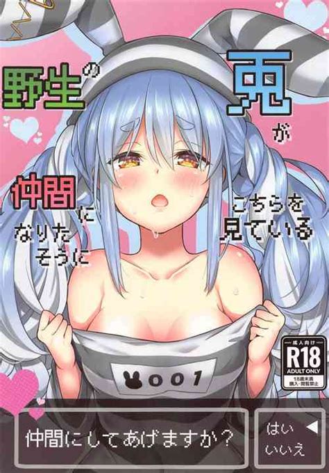 Usada Ke Hitozuma No Himitsu No Shumi Nhentai Hentai Doujinshi And Manga