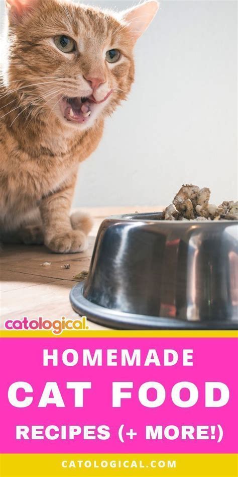 Best Homemade Cat Food Recipes Raw Or Cooked Make Your Own