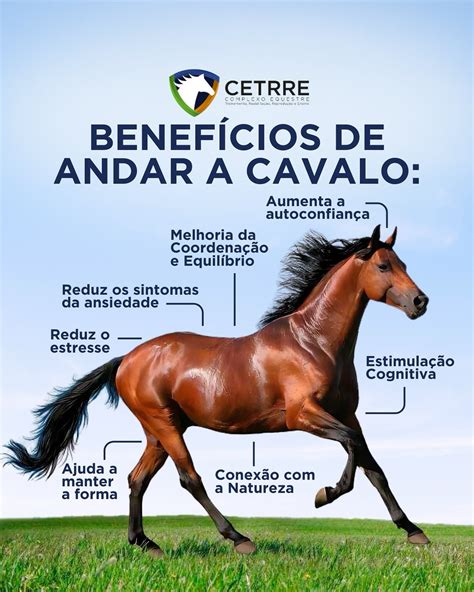 Andar A Cavalo Tem Crase - CETRRE - Complexo Equestre | 🌟 Benefícios de Andar a Cavalo: Para Corpo ...