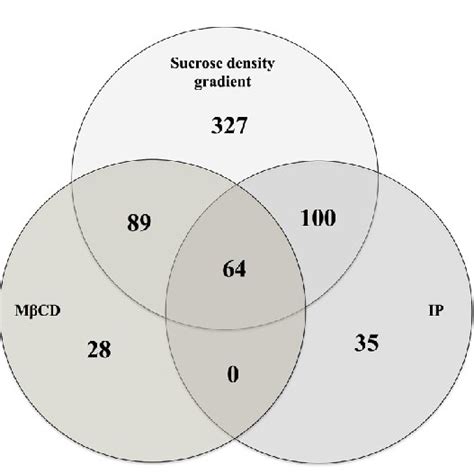 Venn Diagram Showing The Numbers Of Proteins Identified From The Three Download Scientific