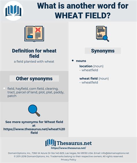 Wheat Field 14 Synonyms