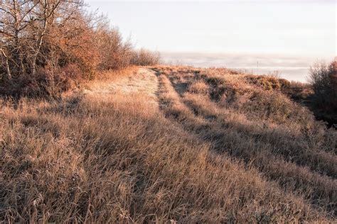 cardiff park  behance