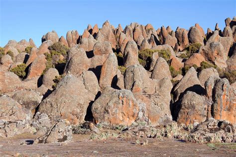 Ethiopias Bale Mountains National Park Makes Unesco World Heritage