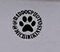 Solved Ntf Sky Wonderland Mystery Blonde Vintage Erotica Forums