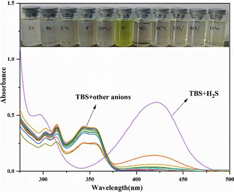 Absorbance spectra of the probe TBS solution 1 Â 10 À5 M when