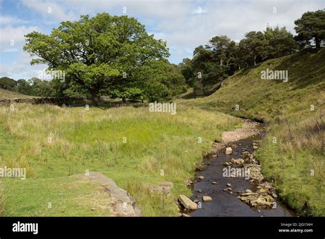 Trough Of Bowland Valley In The Forest Of Bowland Area Of Outstanding