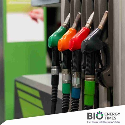 Ethanol Production Bihars Minister Calls For Investment In Maize