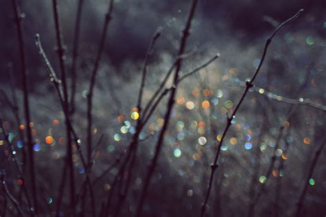Фотограф или фотохудожник? - Fotoget photography