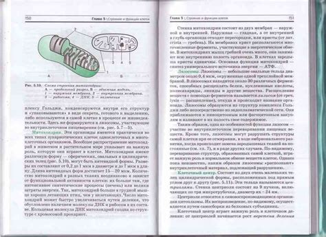 Учебник по биологии 10 класс Захаров Агафонова читать онлайн