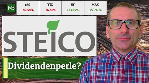 Steico Se Aktie Dividendenperle Mit Starkem Wachstum Youtube