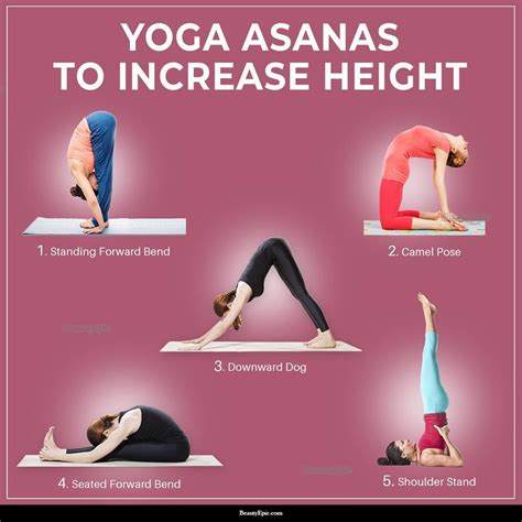 easy yoga poses to increase height