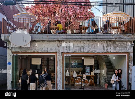 darimmak cafe  seongsu seoul delights visitors  adorable bear