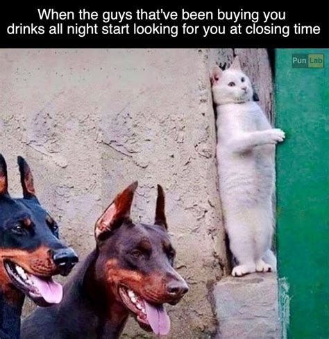 Memes W Linky Gay NYC Dad