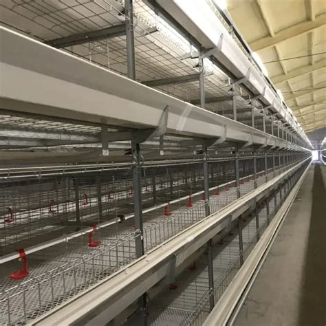 H Battery Cage Automatic Layer Hen Chicken Poultry Farm Equipment 5