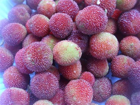 The Do It Yourself Mom Mandarin Mondays 杨梅 Chinese Waxberry