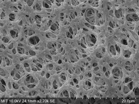 inline_HEPA_20nmAu_top_0005_raw