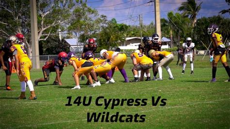 14U Cypress Lake Hornets Vs 14U Riverdale Wildcats YouTube