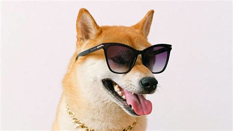 Shiba Inu How To Mine This Memecoin Marca